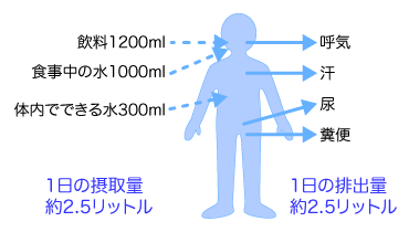 豆知識シリーズ（意外！？冬場になりやすいかくれ脱水）