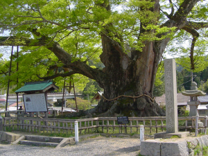 大阪のこんなところシリーズ