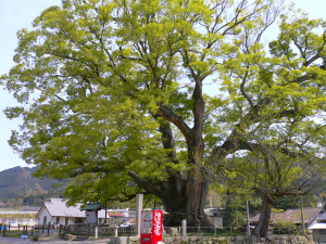 大阪のこんなところシリーズ