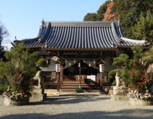 玉祖神社　スイセン